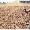 Agriculture In Bengaluru Rural,Karnataka Rains: ರೈತರಿಗೆ ಬೇಸರ ತರಿಸಿದ ವಾತಾವರಣ: ಬೆಂಗಳೂರು ಗ್ರಾಮಾಂತರದಲ್ಲಿ ಶೇ.87 ರಷ್ಟು ಮಳೆ ಕಣ್ಮರೆ! - farmers are saddened by the weather 87 percent of the rain has disappeared in the bengaluru rural - vijaykarnataka