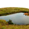 Wayanad Places,Wayanad: ವಯನಾಡ್‌ಗೆ ಹೋಗಲು ಸರಿಯಾದ ಸಮಯ ಯಾವುದು ಗೊತ್ತಾ? ಇಲ್ಲಿ ...