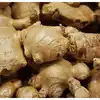 Commercial Crop Loss: ಶುಂಠಿ ಬೆಳೆಗೆ ಬೆಲೆ ಕುಸಿತ : ಮಳೆಗೆ ಬೆಳೆ ಹಾನಿ, ರೈತರಿಗೆ ಭಾರಿ ನಷ್ಟ - fall in price of ginger  crop damage due to rain huge loss for farmers - vijaykarnataka