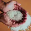 How To Get Luck,Rice: ಅಕ್ಕಿಯಿಂದ ಈ ಕೆಲಸ ಮಾಡಿದರೆ ರಾತ್ರೀರಾತ್ರಿ ಅದೃಷ್ಟ ...