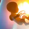 Ectopic Pregnancy,ಗರ್ಭಾಶಯದ ಹೊರಗೆ ಮಗು ಬೆಳೆಯಲು ಸಾಧ್ಯವೇ? ಇದನ್ನು ...