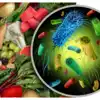 Food Safety And Standards,ತಿನ್ನುವ ಆಹಾರ ನಿಜಕ್ಕೂ ಕಲಬೆರಕೆ ಆಗಿದೆಯಾ ಎಂದು ...