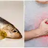 How Eating Fish Helps Your Heart,ಹೃದಯದ ಸಮಸ್ಯೆ ಇರುವವರು ವಾರಕ್ಕೆ ಎರಡು ಬಾರಿ ...