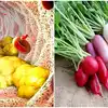Radish To Control Bad Cholesterol,ಮೂಲಂಗಿ ಇಷ್ಟಇಲ್ಲ ಅನ್ನೋಹಾಗಿಲ್ಲ ...