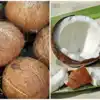 Easiest Hack To Remove Coconut Shell,ಕಷ್ಟ ಪಡದೆ ತೆಂಗಿನಕಾಯಿ ಚಿಪ್ಪನ್ನು ...