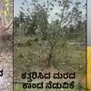 ಉತ್ತರ ಕನ್ನಡ ಜಿಲ್ಲೆಯ ತಾಜಾ ಸುದ್ದಿಗಳು,ಕತ್ತರಿಸಿದ ಮರಗಳ ಕಾಂಡ ನೆಟ್ಟು ಪರಿಸರ ದಿನ ...