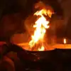 Benefits Of Homam,ಸತ್ಯನಾರಾಯಣ ಹೋಮಕ್ಕೆ ಯಾವ ಮರದ ತುಂಡುಗಳು ಬೇಕು.? - which ...