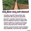 Namma Hola Namma Dari Scheme,ನಮ್ಮ ಹೊಲ ನಮ್ಮ ದಾರಿ ಯೋಜನೆ: ರೈತರ ಜಮೀನಿಗೆ ...