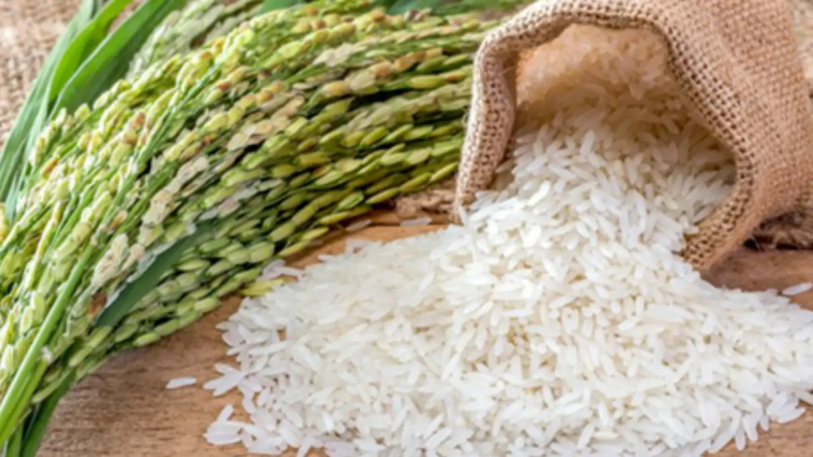 ಬರದ ಏಟಿಗೆ ಕರ್ನಾಟಕದಲ್ಲಿ ಭತ್ತದ ಕೊರತೆ: ಸ್ಥಗಿತ ಅಂಚಿನಲ್ಲಿ 2,400ಕ್ಕೂ ಅಧಿಕ ರೈಸ್ಮಿಲ್ಸ್, ವಿದೇಶಿ ಅಕ್ಕಿ ರಫ್ತಿಗೂ ಭಾರಿ ಪೆಟ್ಟು!