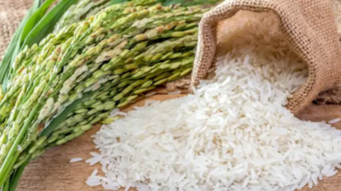 Rice Rice