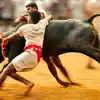 ಕಾನೂನು ಸಮರದಲ್ಲಿರುವ 'ಜಲ್ಲಿಕಟ್ಟು' ಸುತ್ತ - jallikattu: all you need to ...