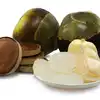 Ice Apple,ಸರ್ವ ರೋಗಗಳಿಗೂ ದಿವ್ಯೌಷಧಿ ತಾಳೆ ಹಣ್ಣು - benefits of ice apple ...