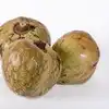 Tropical Seasonal Fruit,ರಾಮ ಫಲ ಹಣ್ಣಿನ ಪೌಷ್ಟಿಕಾಂಶಗಳು ಹೇಗೆ ಪೋಷಣೆ ನೀಡುವುದು ...