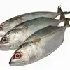 Mackerel Fish Benefits,ಬಂಗುಡೆ ಮೀನು ಎಷ್ಟು ರುಚಿಯಿದೆಯೋ, ಆರೋಗ್ಯಕ್ಕೆ ಅಷ್ಟೇ ...