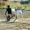 Inam Land,ಇನಾಂ ಜಮೀನು ಕಾಯಿದೆ ತಿದ್ದುಪಡಿಗೆ ಸಂಪುಟ ಒಪ್ಪಿಗೆ, ಅರ್ಜಿ ಸಲ್ಲಿಸಲು ...