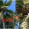 5000 Coconuts In Single Tree,ಅಂಕೋಲಾ: ನೂರಲ್ಲ ಇನ್ನೂರಲ್ಲ, ಬರೋಬ್ಬರಿ 5000 ...