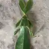 Amazing Nature,Viral Video: ತಕ್ಷಣಕ್ಕೆ ಕಾಣುವುದೇ ಒಂದು, ಅರೆಕ್ಷಣದಲ್ಲಿ ...