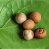 ಗಾಯ, ಕೆಮ್ಮು-ಕಫ ಹಾಗೂ ಬಾಯಿ ವಾಸನೆ ಸಮಸ್ಯೆಗೆ ವೀಳ್ಯದೆಲೆ ಬೆಸ್ಟ್ ಮದ್ದು! - this ...