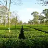 Places To Visit In Assam,ಪ್ರಾಕೃತಿಕ ಸೊಬಗಿನ ಅಸ್ಸಾಂ : ಸುಂದರ ತಾಣದಲ್ಲಿ ...