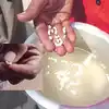 Plastic Rice,ನವಲಗುಂದದಲ್ಲಿ ಪ್ಲಾಸ್ಟಿಕ್ ಅಕ್ಕಿ ಆತಂಕ, ಊಟ ಮಾಡಲು ಹಿಂದೇಟು ಹಾಕಿದ ...