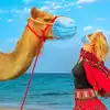 Rajasthan, ರಾಜಸ್ಥಾನದ ಪ್ರವಾಸವನ್ನು ರೋಮಾಂಚಕವಾಗಿ ಮಾಡಲು ಈ ಟಿಪ್ಸ್‌ ಫಾಲೋ ಮಾಡಿ ...