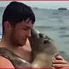 Unexpected Hug From Seal,Viral Video : ಸಮುದ್ರದಲ್ಲಿ ಈಜುತ್ತಿದ್ದ ...